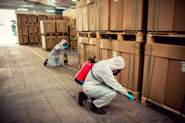 Best Pest Removal Services  in Lakeland South, WA