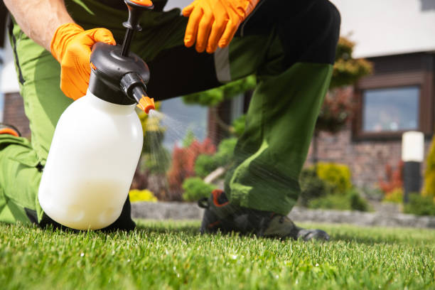 Best Residential Pest Control  in Lakeland South, WA