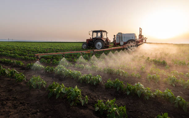  Lakeland South, WA Pest Control Pros