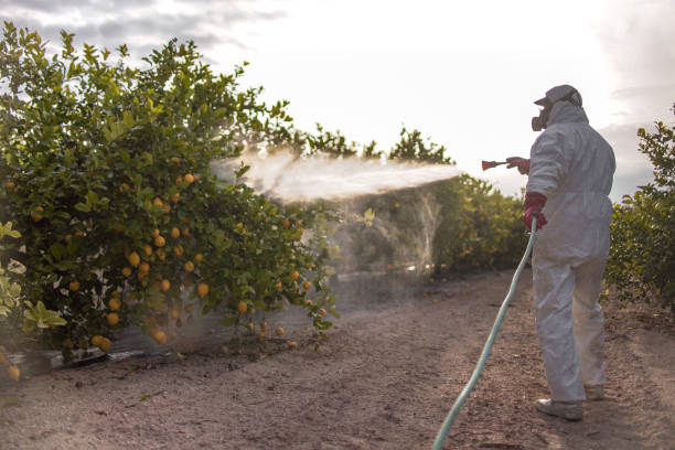 Best Best Pest Control Companies  in Lakeland South, WA